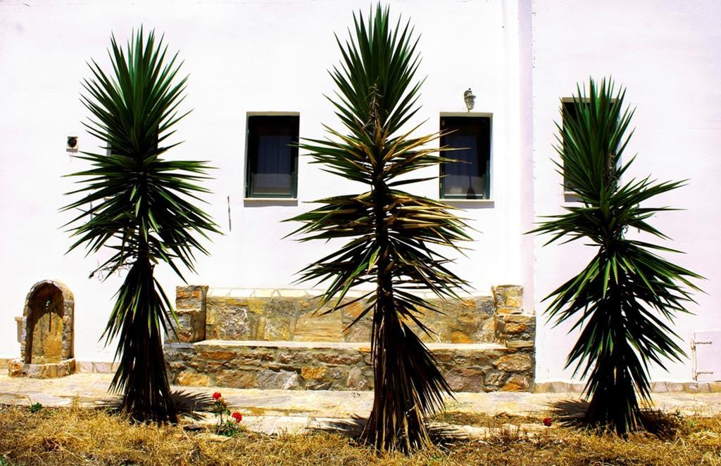 Thomas Apartments Katapola - Chora Exterior foto